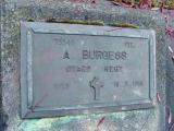 image of grave number 401045